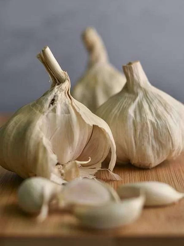 All-About-Garlic