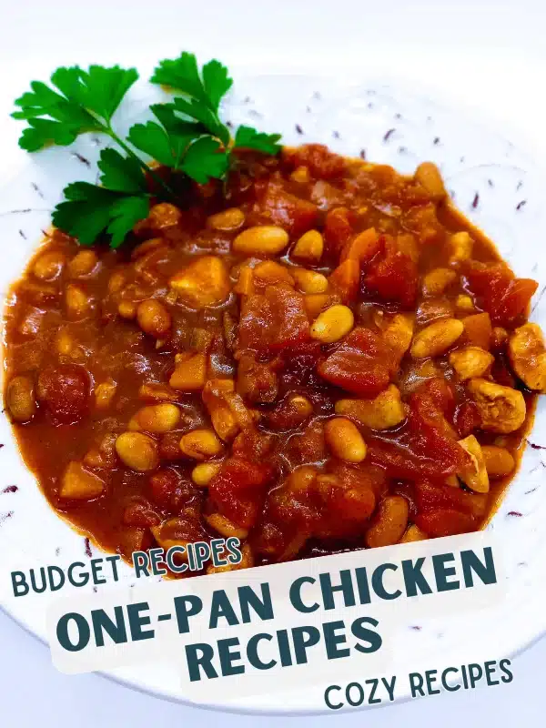 Chicken Chili Stew Recipe