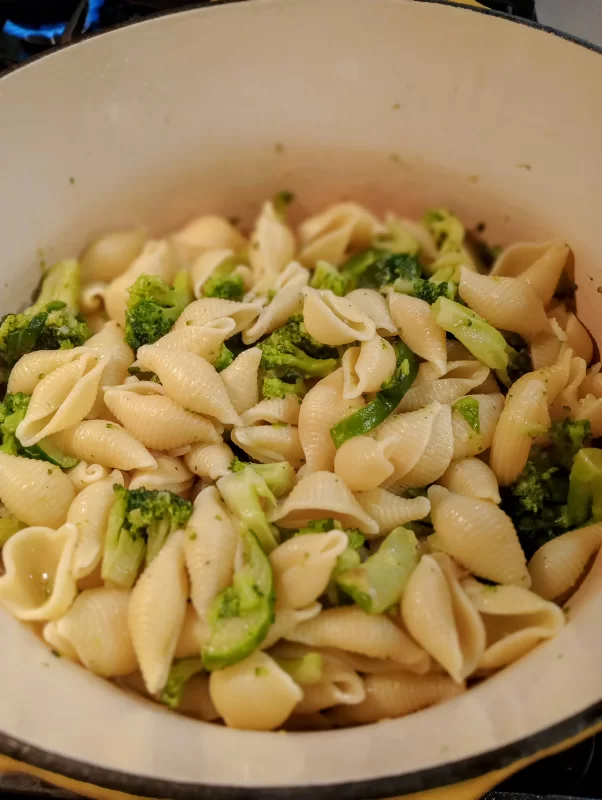 Conchiglie Pasta with Garlic and Olive Oil For Dinner