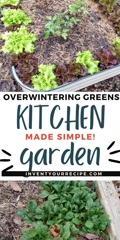 How to Overwinter Greens
