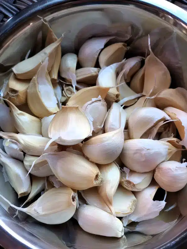 how to grow garlic_seed garlic
