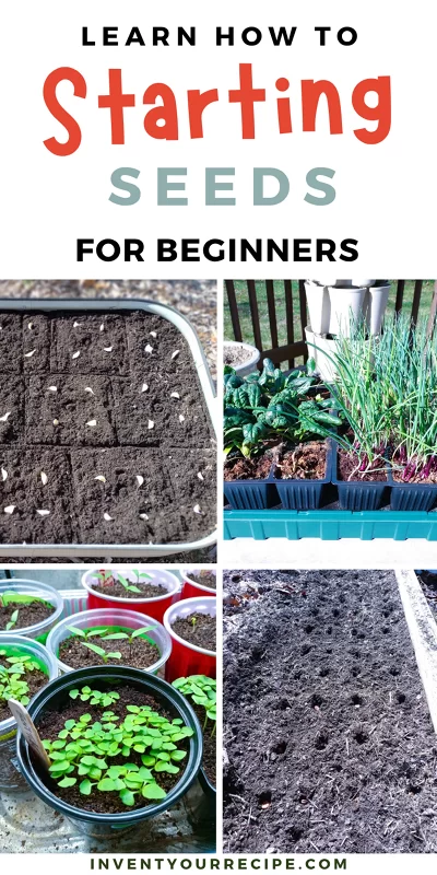 Seed Starting for Beginners1 Seed Starting for Beginners1