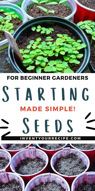 Seed Starting for Beginners3 Seed Starting for Beginners3