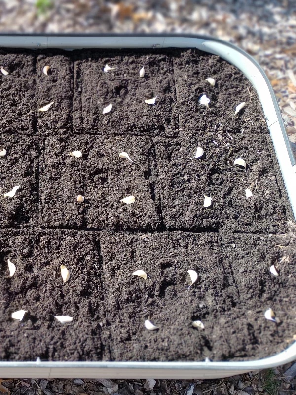 Seed starting for beginners_soil prep Seed starting for beginners_soil prep